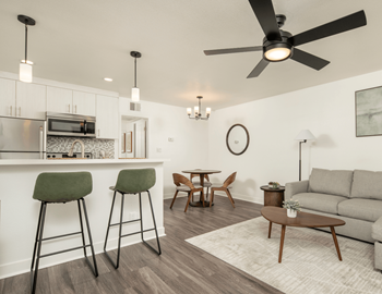 Ceiling fan